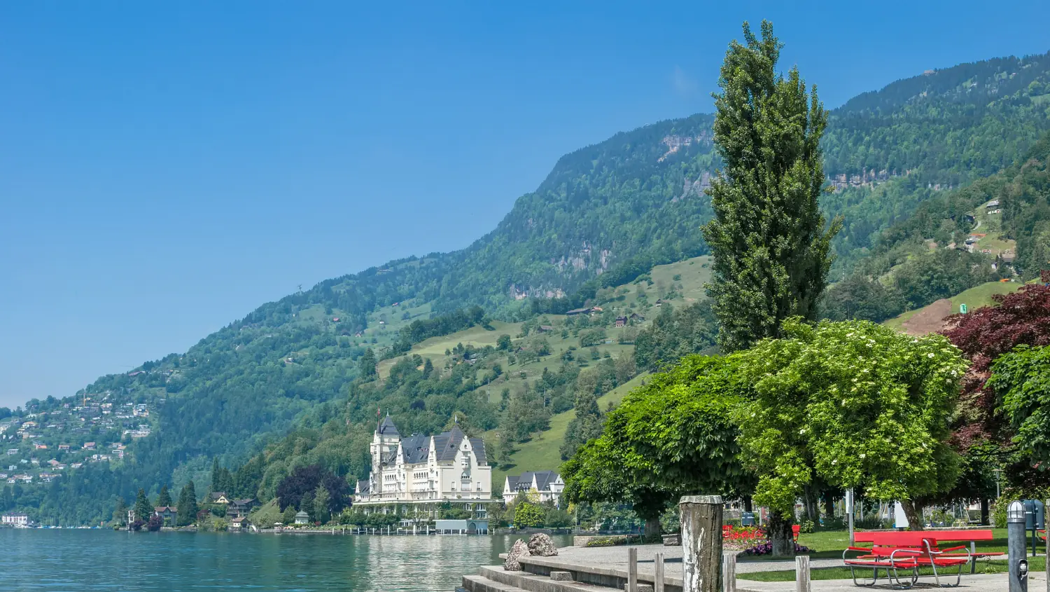 Promenade au bord du lac des Quatre-Cantons avec bancs et arbres, derrière des versants boisés