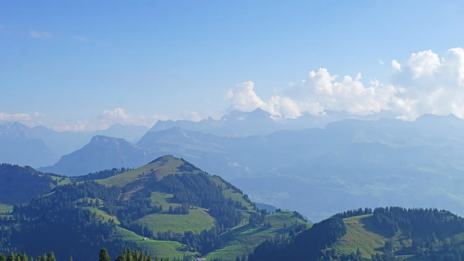 Crêtes boisées de Suisse centrale, à l'horizon la chaîne des Alpes dans la brume