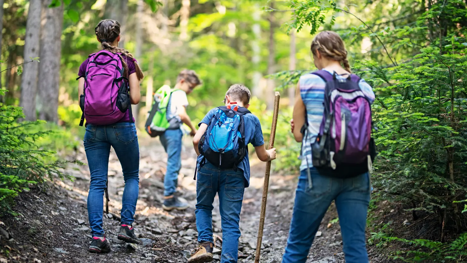 Vier Kinder mit Rucksäcken auf einem Waldweg