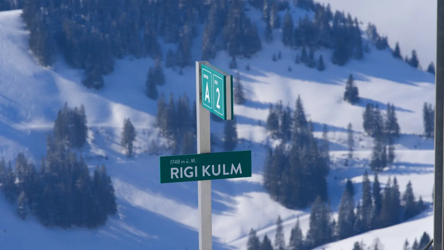 لافتة Rigi Kulm على ارتفاع 1748 مترًا أمام منحدرات مكسوة بالثلج وغابة