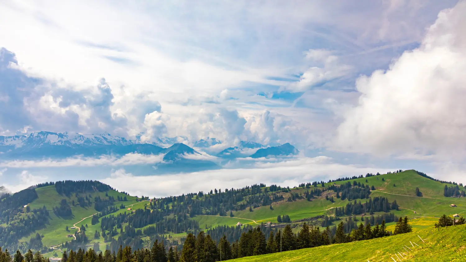 Prairies d'altitude du Rigi au-dessus de la mer de brouillard, à l'horizon les Alpes enneigées