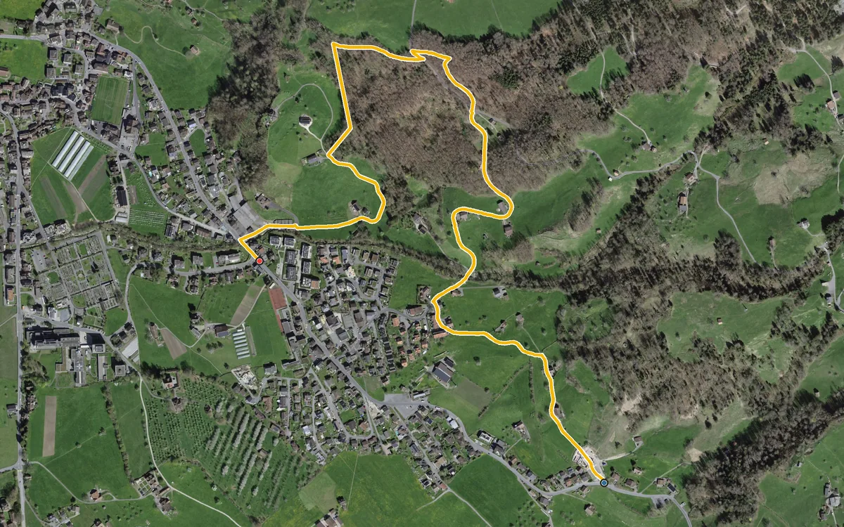 Vista aerea con il percorso tracciato: Da Rickenbach in discesa a Svitto