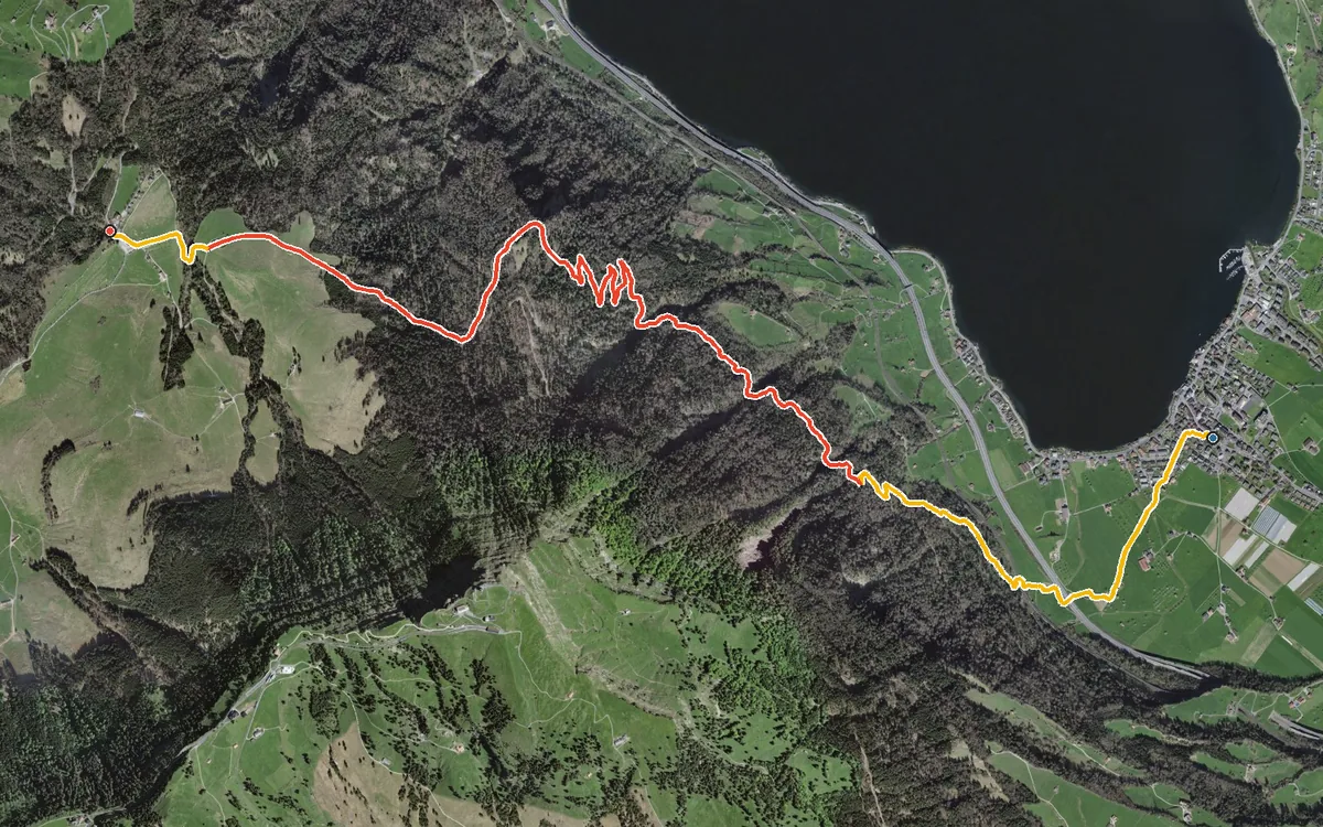 Vista aerea con il percorso tracciato: Da Arth in salita alla Seebodenalp