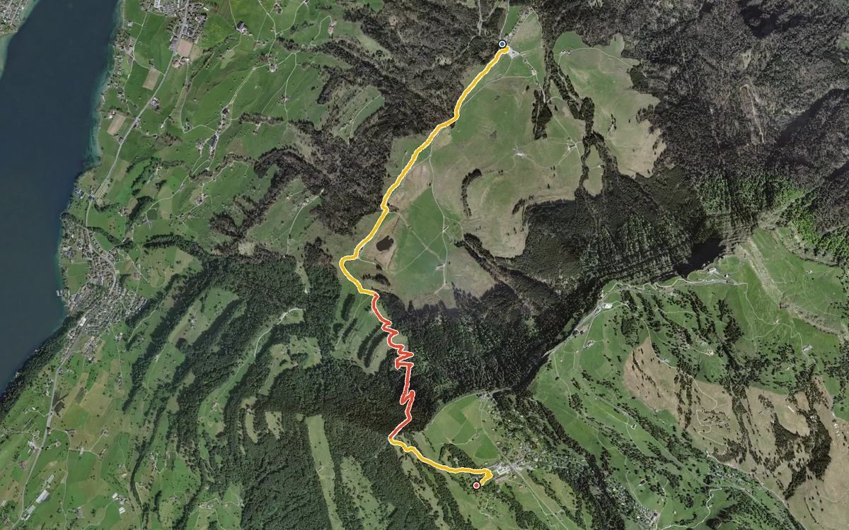 Vista aerea con il percorso tracciato: Dalla Seebodenalp in salita a Rigi Kaltbad