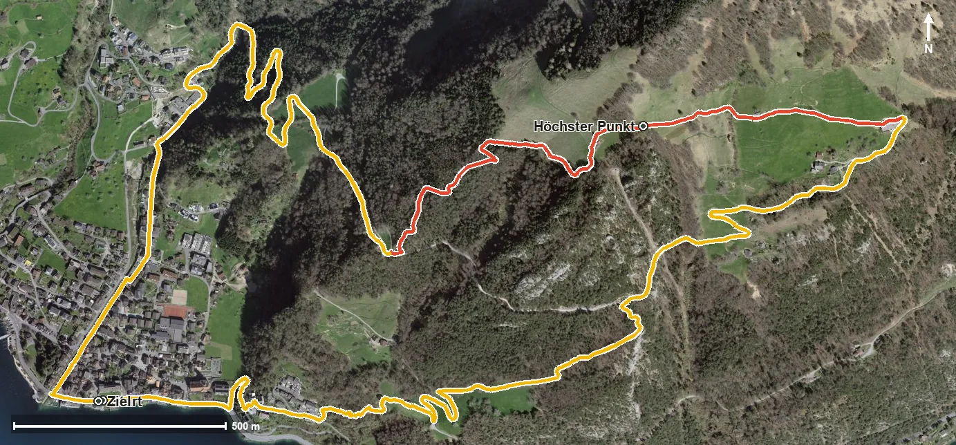 Luftbild Gersau-Föhnenbergen-Ochsenalp-Gersau