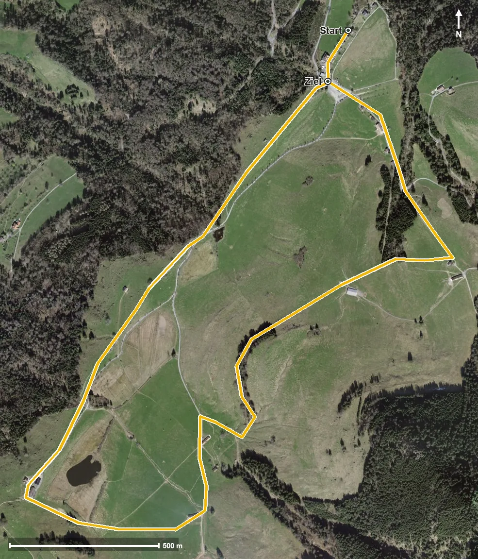 Luftbild Gletscherspur Seebodenalp