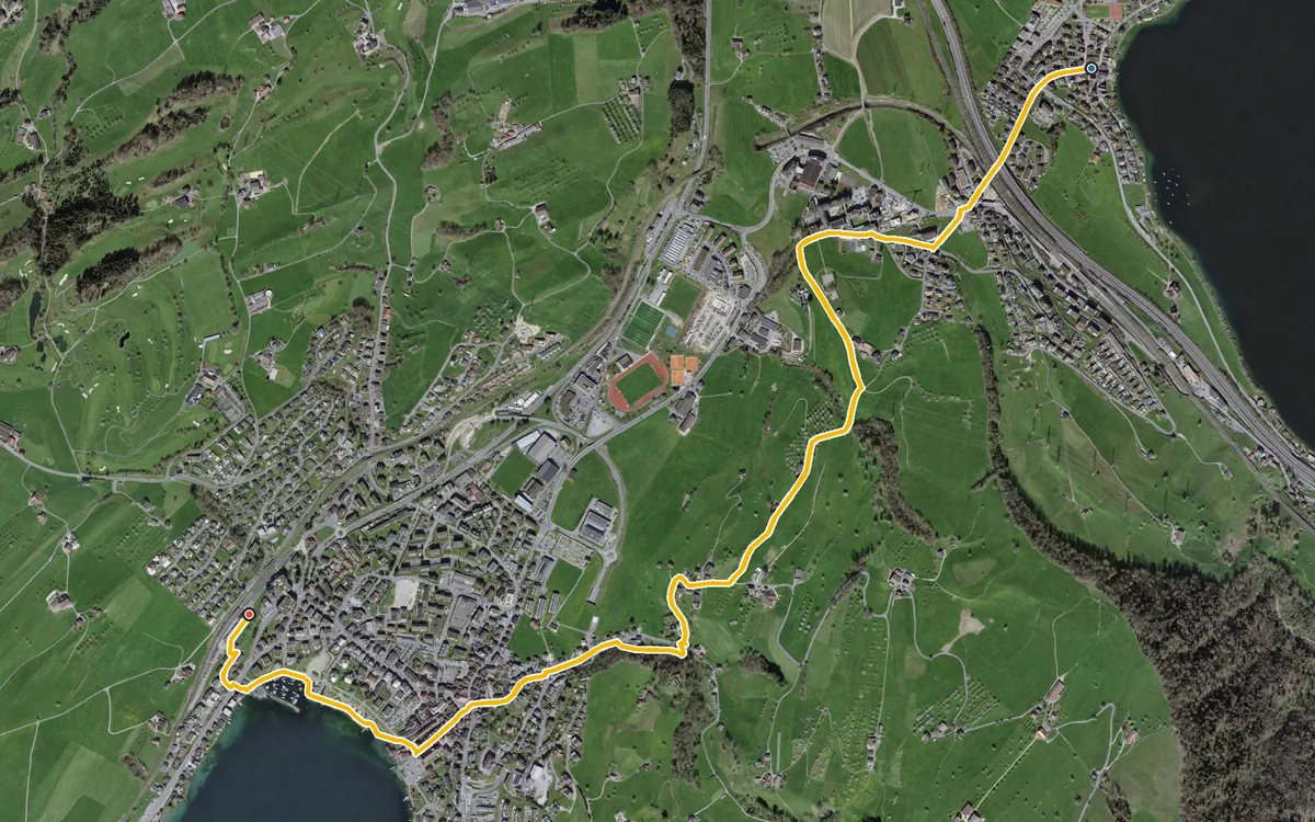 Luftbild mit eingezeichneter Route: Von Immensee nach Küssnacht am Rigi