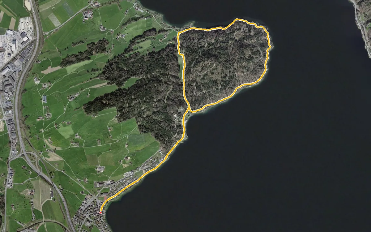 Vista aerea con il percorso tracciato: Piccolo anello da Immensee, sul lago di Zugo