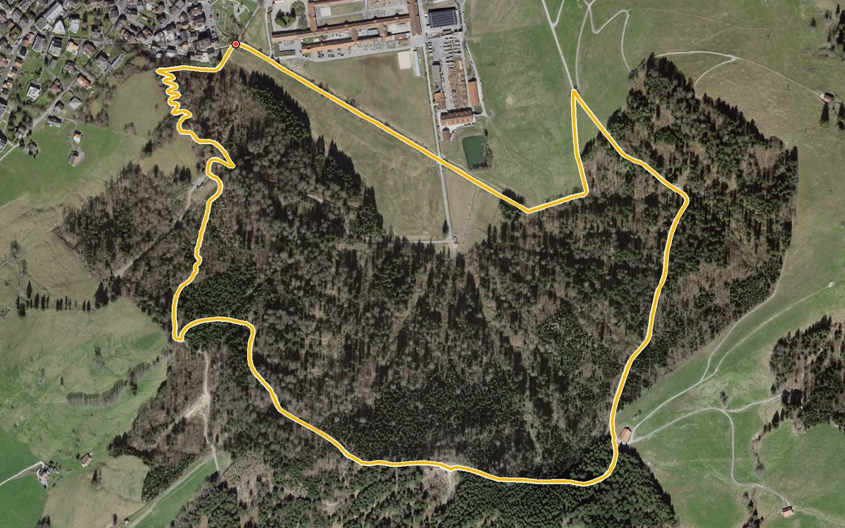 Vista aerea con il percorso tracciato: Anello nel bosco al Johannisbächli, presso Einsiedeln