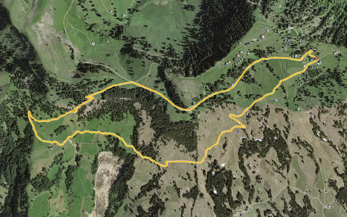 Vista aerea con il percorso tracciato: Piccolo anello da Rigi Burggeist