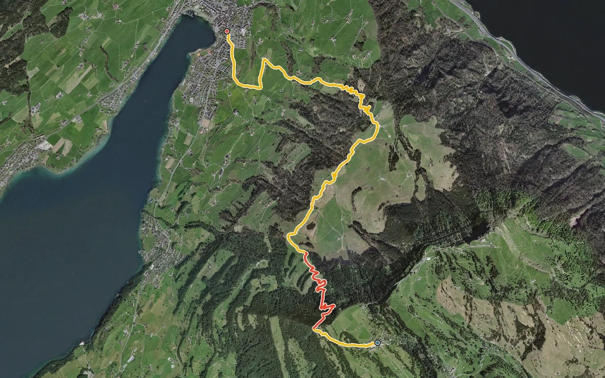 Vista aerea con il percorso tracciato: Da Rigi Kaltbad in discesa a Küssnacht am Rigi