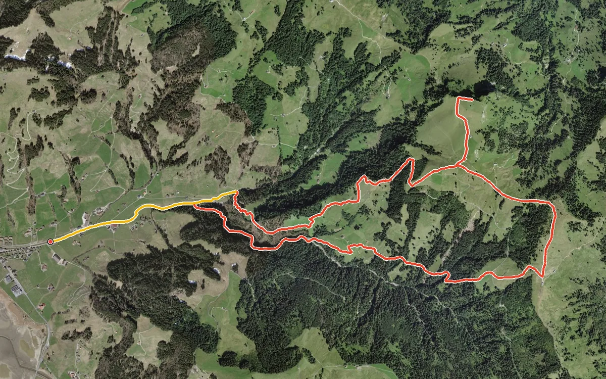 Vista aerea con il percorso tracciato: Anello da Euthal all’Alp Wildegg