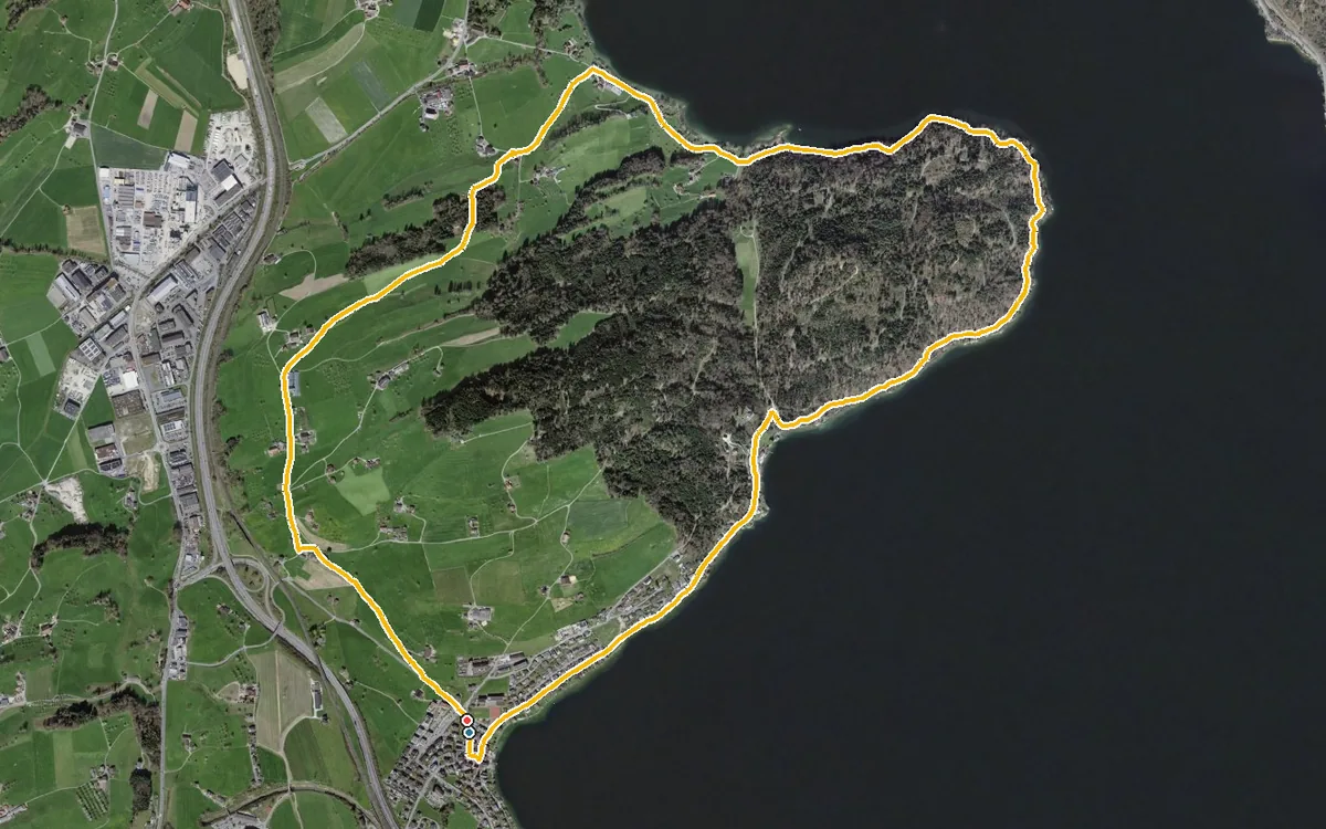 Vista aerea con il percorso tracciato: Anello da Immensee per Itelfingen