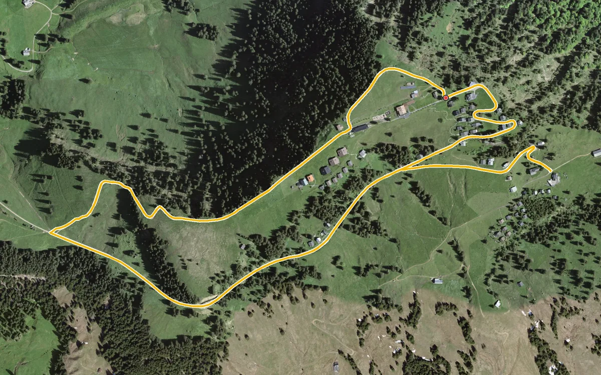 Vista aerea con il percorso tracciato: Piccolo anello da Rigi Scheidegg per Rigi Burggeist