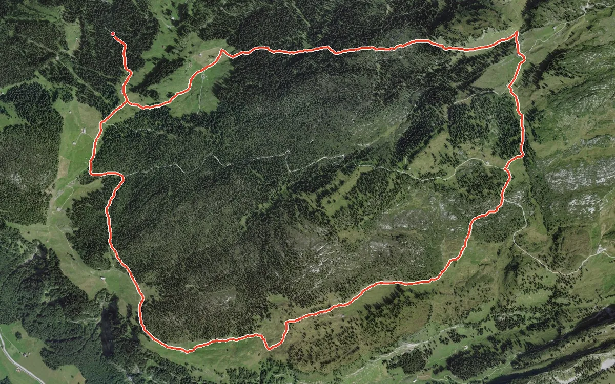 Vista aerea con il percorso tracciato: Anello più breve dall’Eigeliswald per il Wolfsbüel