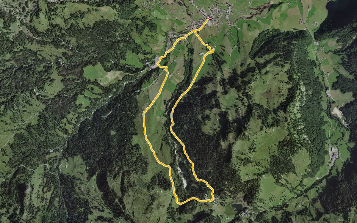 Vista aerea con il percorso tracciato: Anello nel bosco dal Roggen, presso Oberiberg