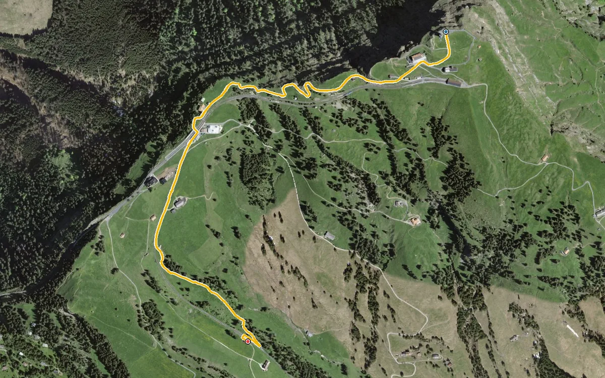 Vista aerea con il percorso tracciato: Dalla vetta del Rigi in discesa a Rigi Staffel