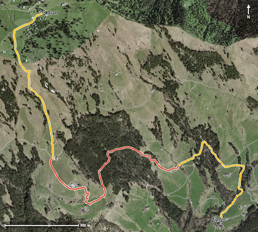 Luftbild Zwärgliweg Rigi Burggeist